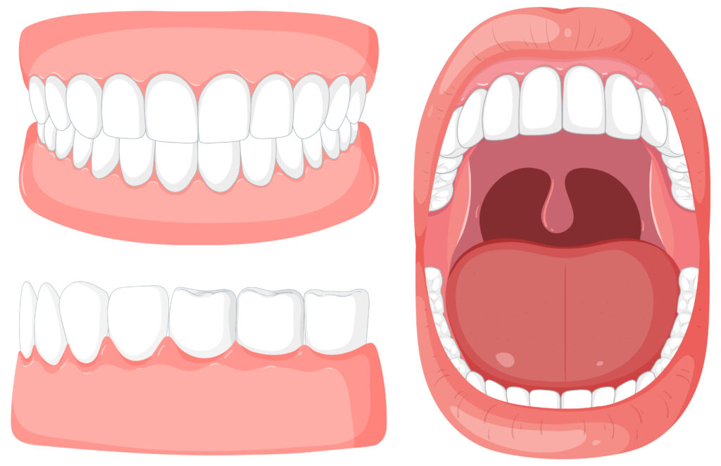 Dry Mouth AECS Layout |